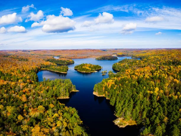 istock Lake and forest in autumn 1138137826