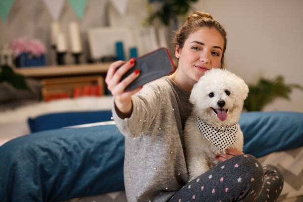 istock Young woman with her dog taking selfportrait 1138138088