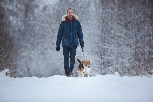 istock Man walking with dog beagle in winter. Snowing day 1138141015