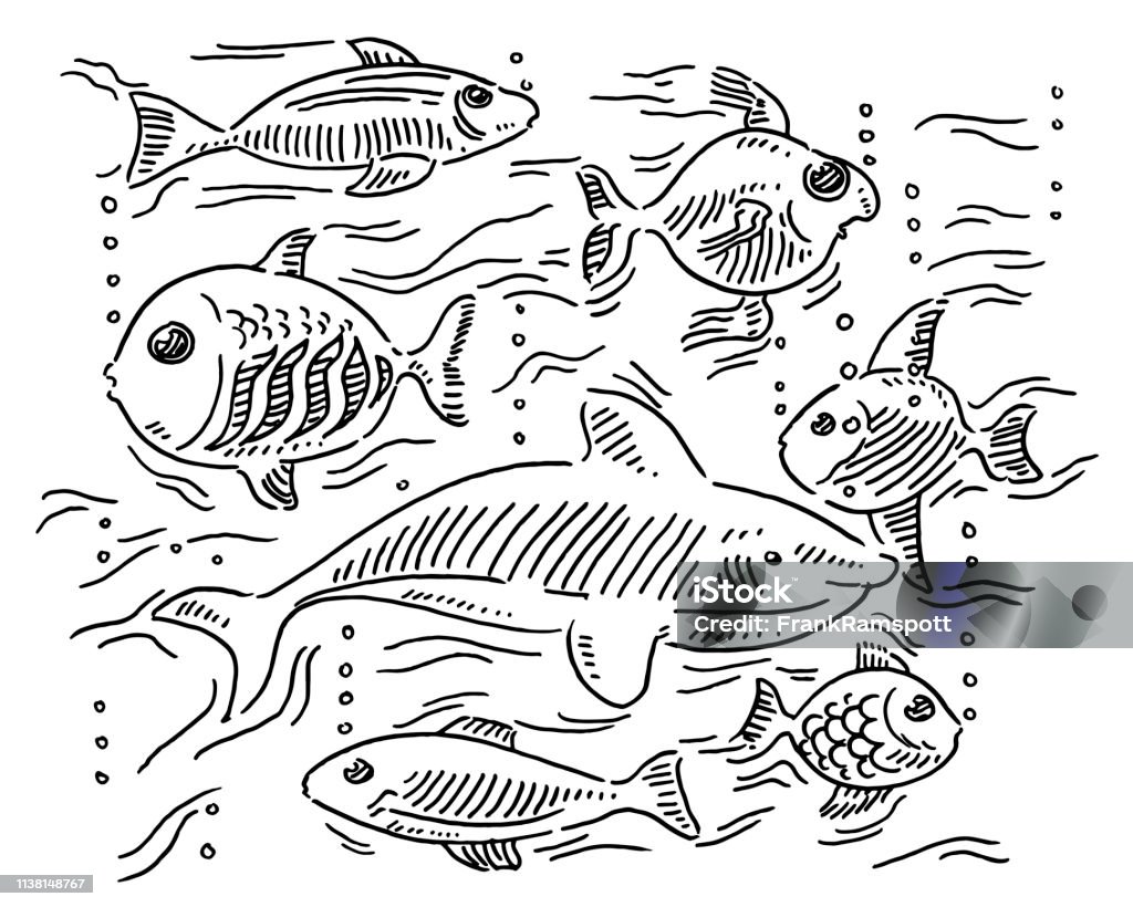 Group Of Different Fishes Diversity Concept Drawing Hand-drawn vector drawing of a Group Of Different Fishes, Diversity Concept. Black-and-White sketch on a transparent background (.eps-file). Included files are EPS (v10) and Hi-Res JPG. Fish stock vector