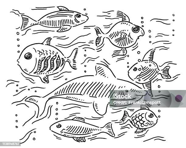 Group Of Different Fishes Diversity Concept Drawing Stock Illustration - Download Image Now