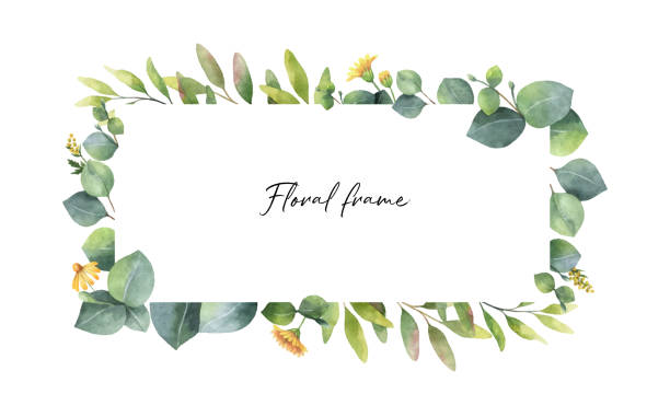 istock Watercolor vector wreath with green eucalyptus leaves and flowers . 1138148949