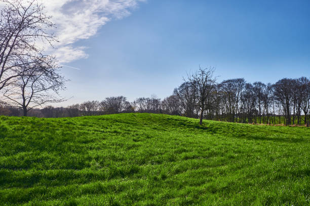 istock Landscape, Panorama, Lohmar, Germany, Spring, Green Meadow, Blue Sky 1138150384
