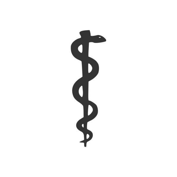 ilustraciones, imágenes clip art, dibujos animados e iconos de stock de vara de asclepio serpiente enrollado icono de silueta. concepto de medicina y atención médica. emblema para droguería o medicina, símbolo de serpiente de farmacia. diseño plano. vector illustration - shepherds staff