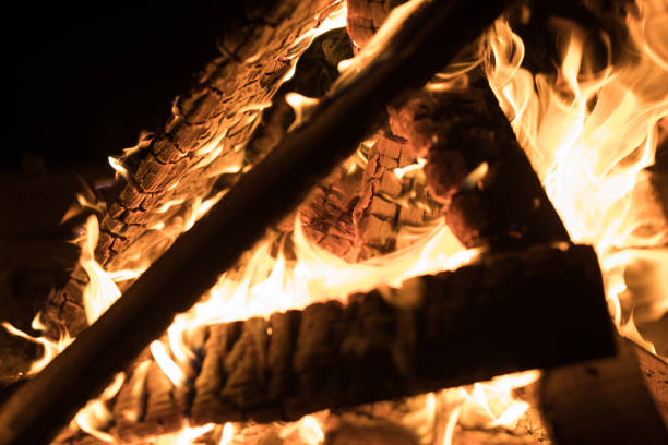 Close up of burning wood in campfire.
