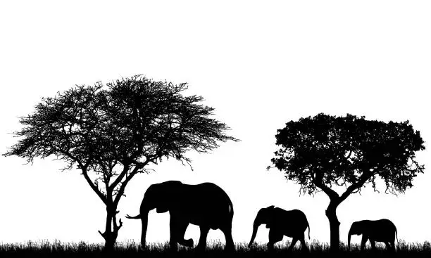 Vector illustration of Realistic illustration of landscape with trees in african safari. A family of three elephants with a baby go in the grass - vector