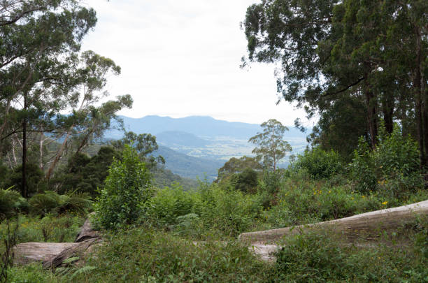 istock Mountain lookout in Australia 1138153398