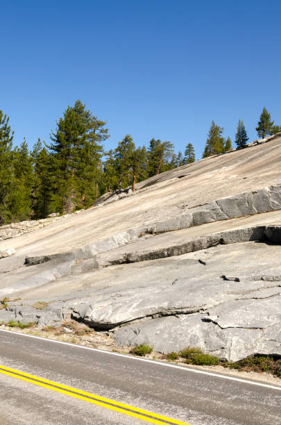 istock rocks and trees in Yosemite National Park 1138158349