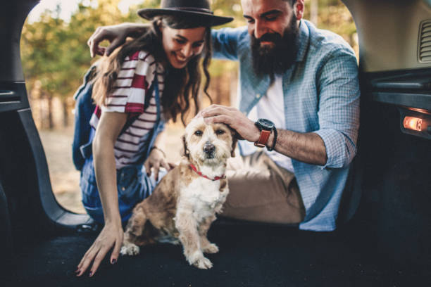 istock We are cute couple 1138159874