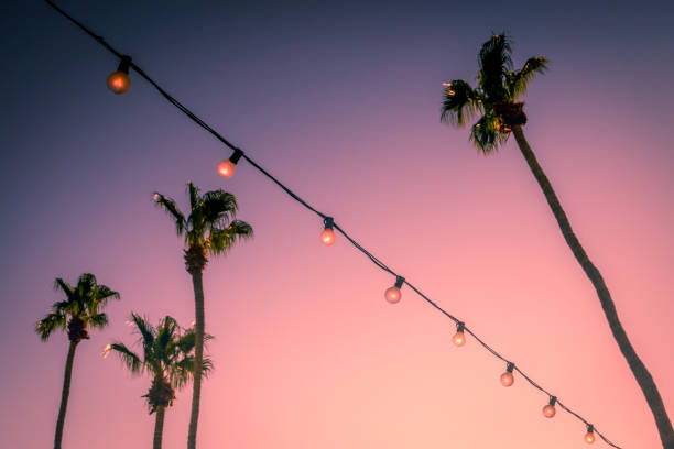 Palm Trees and String Party Lights in Palm Springs Pink Sunset Behind String Lights and Palm Trees at a Party in Palm Springs coachella valley photos stock pictures, royalty-free photos & images