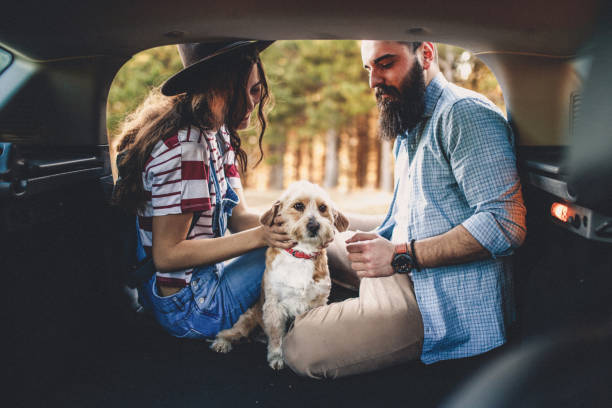 istock We are cute couple 1138160259