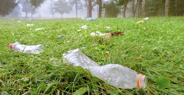 istock Rubbish on the ground in park 1138160447