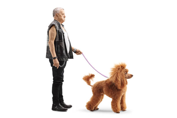 istock Mature punker standing with a red poodle on a leash 1138162035