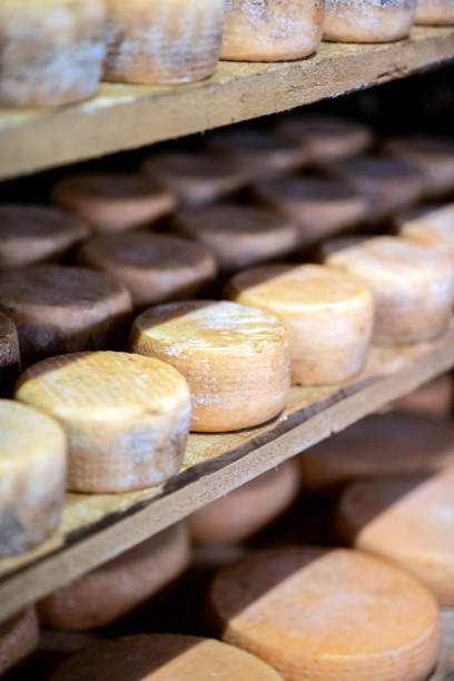 istock Traditional Italian toma cheese production 1138164002