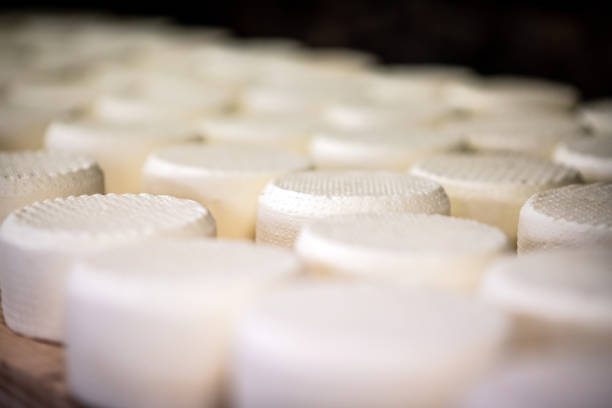 Traditional Italian toma cheese production