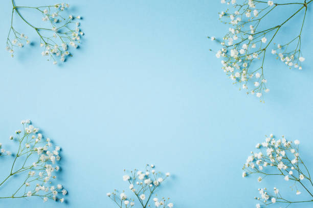istock Blue fashion, flowers flat lay background 1138165561