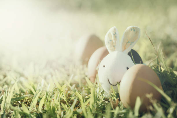 istock Rabbit and colorful Easter eggs in nature. 1138165915