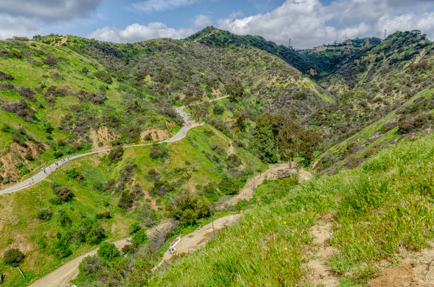 istock Hiking trails in Runyon Canyon, Los Angeles, CA. 1138174867