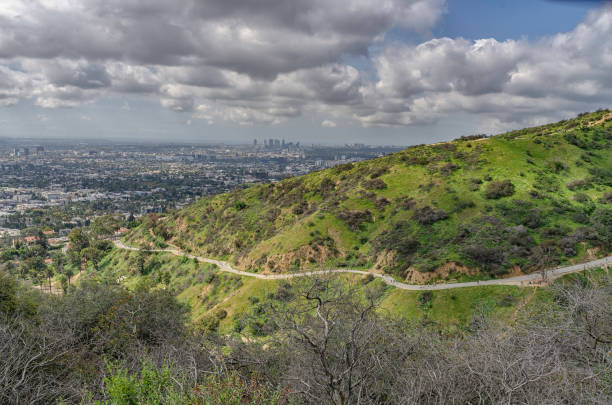 istock Hiking trails in Runyon Canyon, Los Angeles, CA. 1138175394