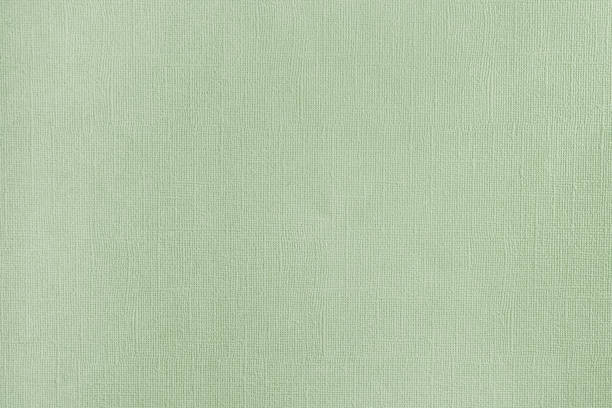 istock Empty abstract background for layouts. Texture of dense, light green embossed paper. 1138175621