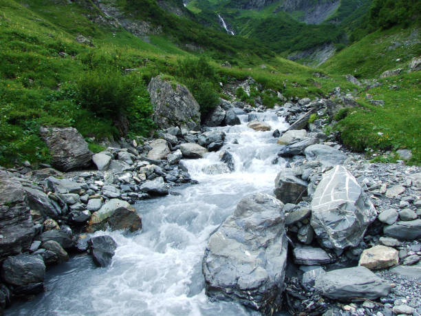 istock Mitteleggbach stream in the Wichlen Alpine Valley 1138177448