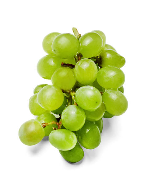 istock Fresh small bunch of green grapes. White isolated background. Close-up. Side view. 1138177797