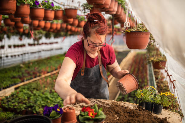 istock Female entrepreneur working in a greenhouse 1138177852