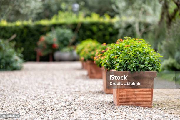 Bagno Vignoni Italy Town Or Village City In Tuscany And Closeup Of Green Flower Decorations On Summer Day Nobody Architecture Stones Ground Stock Photo - Download Image Now