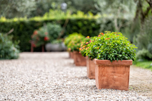 bagno vignoni, italy town or village city in tuscany and closeup of green flower decorations on summer day nobody architecture stones ground - ornamental garden europe flower bed old fashioned imagens e fotografias de stock