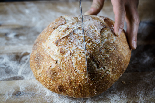 Slicing fresh homemade bread made of sourdough. Homemade baking concept. Artisan bread with golden crispy crust.