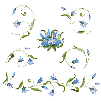 Collection of hand drawn blue bell flower, composition for design on white background. Vector illustration