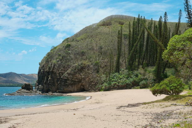 istock New Caledonia coastal landscape beach and cliff 1138182974