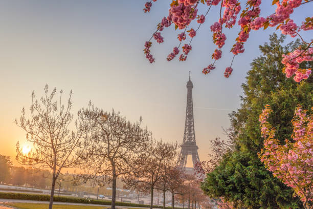 istock Eiffel Tower with spring trees in Paris, France 1138182988