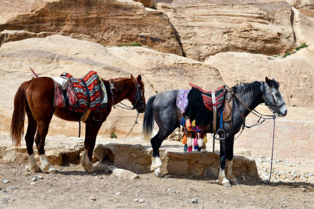 istock Jordan, Petra, mode of transport 1138183118