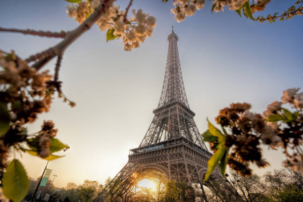 istock Eiffel Tower during spring time in Paris, France 1138183816