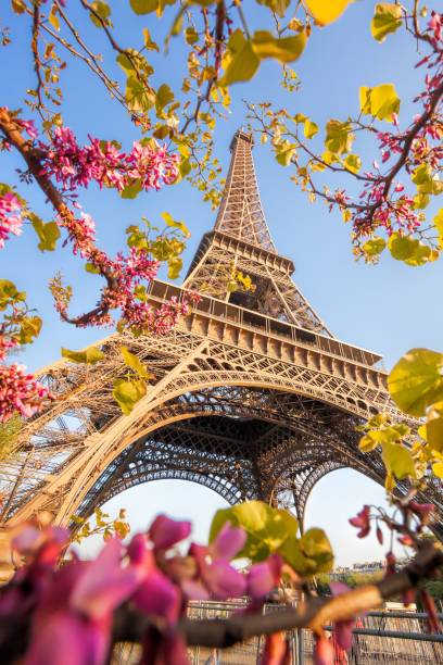 istock Eiffel Tower during spring time in Paris, France 1138183825