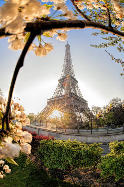 istock Eiffel Tower during spring time in Paris, France 1138183885