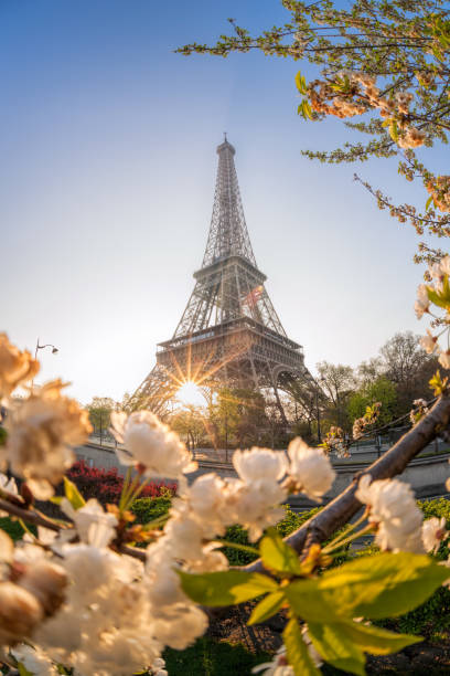 istock Eiffel Tower during spring time in Paris, France 1138183991