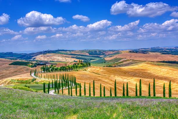 val d'orcia, italia-toscana. - val dorcia fotografías e imágenes de stock