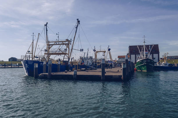 moored fishing trawlersat pier - oudeschild imagens e fotografias de stock