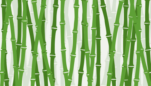 ilustraciones, imágenes clip art, dibujos animados e iconos de stock de fondo de bambú verde. conjunto forestal asiático. cultura china. planta tradicional. hermosa plantilla para el encabezado, banner, tarjeta o folleto. diseño simple y hermoso. ilustración vectorial de estilo plano. - típico oriental