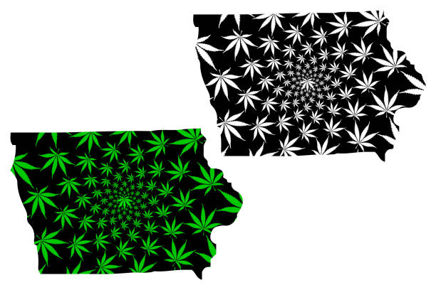 Iowa - map is designed cannabis leaf Iowa (United States of America, USA, U.S., US) - map is designed cannabis leaf green and black, State of Iowa map made of marijuana (marihuana,THC) foliage, des moines silhouette stock illustrations