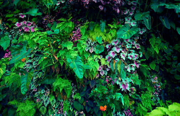 istock Green leaves background 1138188114