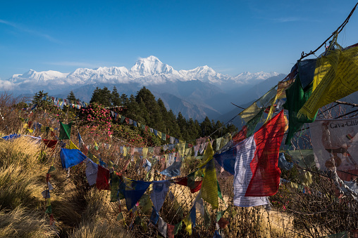Scenic viewpoint of the Annapurna mountain range in the Himalayas, from Poon Hill trek viewpoint in Ghorepani, Nepal