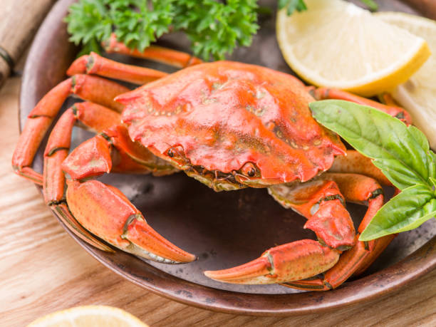 istock Cooked crab with lemon and herbs. 1138188474