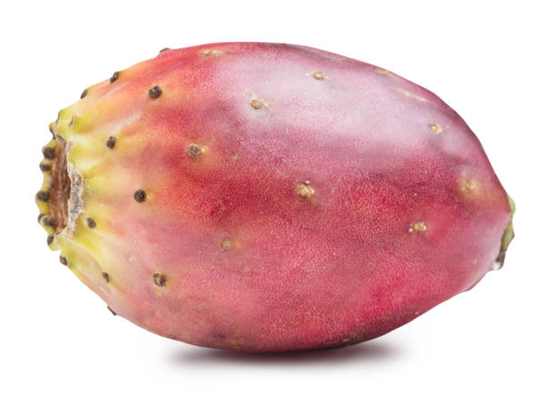 istock Prickly pear or opuntia plant. 1138188476