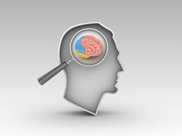 istock Human Head with Magnifying Glass and Brain - 3D Rendering 1138189401