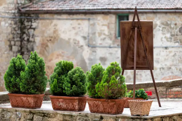 Monticchiello, Italy town or village city in Tuscany and green plant decorations on sunny summer day nobody architecture wall with wooden easel