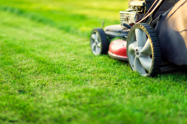istock Lawn mower on green grass 1138191902