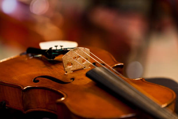 Fragment of a violin